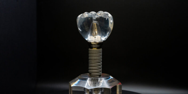 Dental Implant